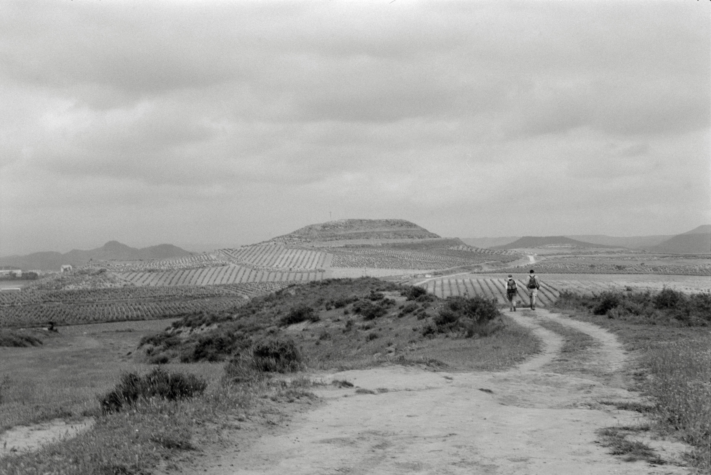 AHP F1995 05 007 sc240826 img33 NLP